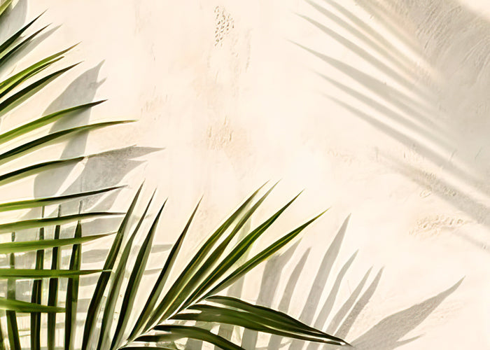 日本橋三越店にてSUMMER COLLECTION~RISINGを開催