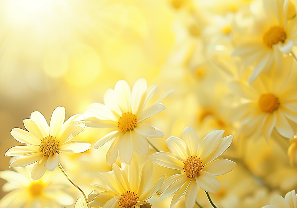 母の日に贈る、想いを込めたジュエリー