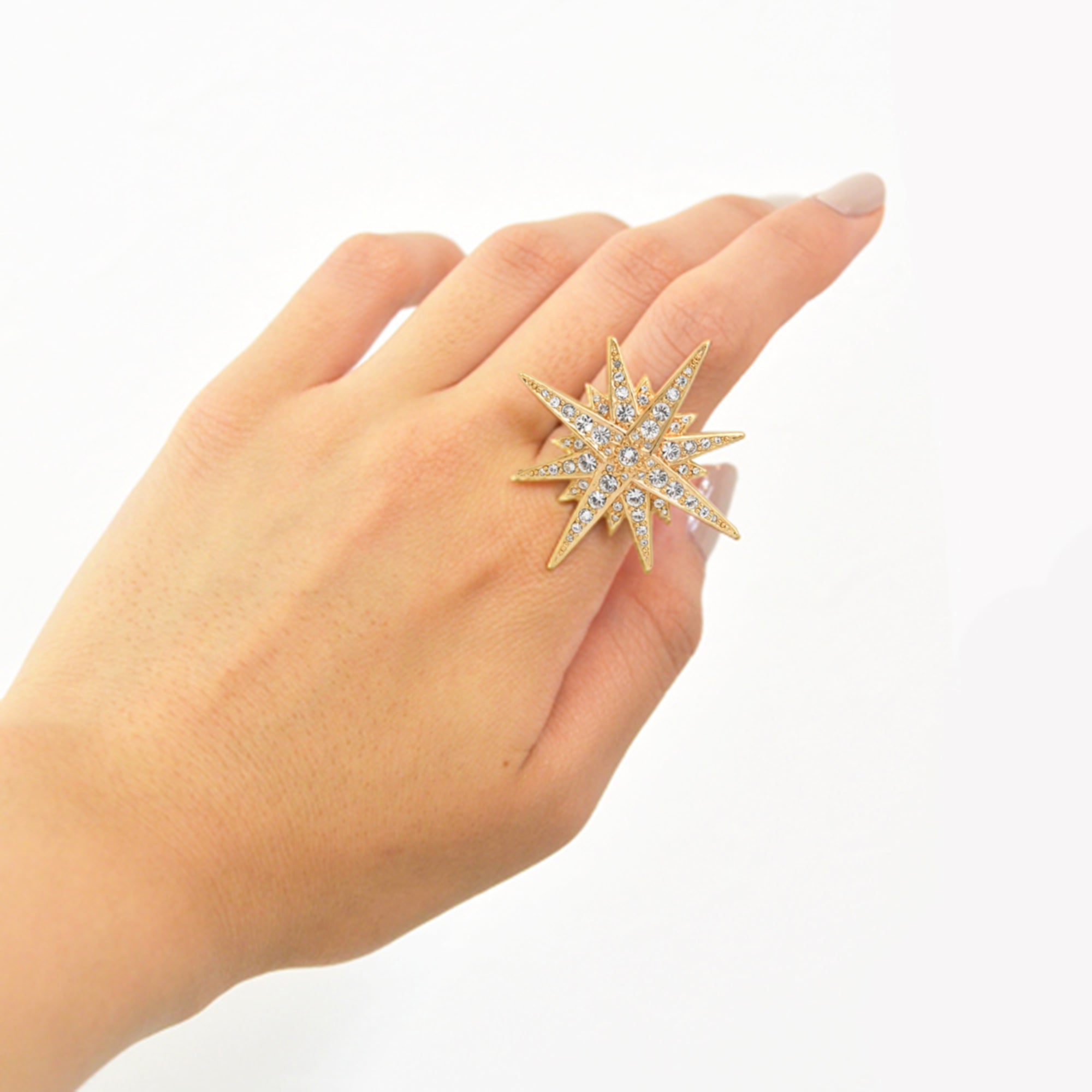 【クリスマスシーズン限定】コズミック バイ スター リング